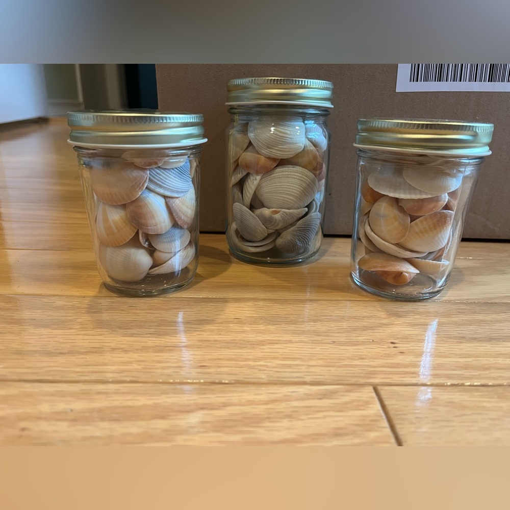Decorative Seashell Jars